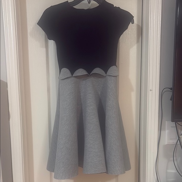 Chic Black and Gray Dress - Picture 1 of 2